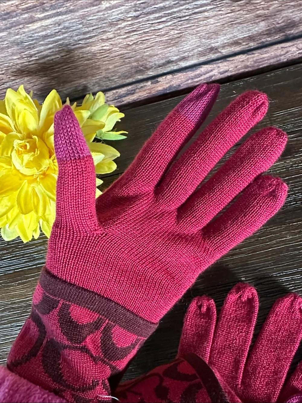 NWT! Coach Pink Logo Knit Touchscreen Gloves